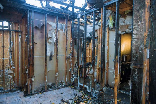 Professional Fire Damage Removal technician working in North Branch, MN