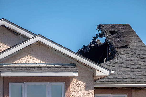 Top rated local Fire Damage Removal specialists in North Branch, MN